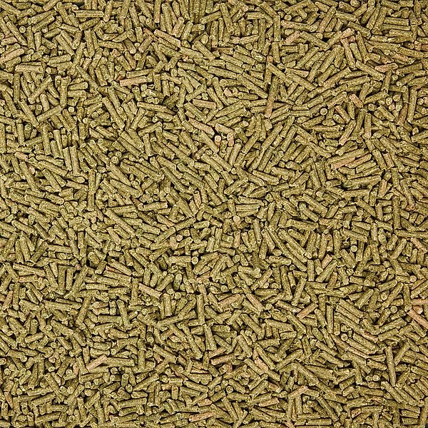 Show full view: Nutrena Empower Digestive Balance Horse Supplement, 40-lb bag slide 8 of 10