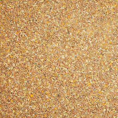 Show full view: Scratch and Peck Feeds Organic Chicken & Duck Feed 16% Layer Mash, 10-lb bag slide 9 of 9