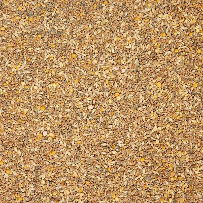 Show full view: Scratch and Peck Feeds Organic Chicken & Duck Feed 18% Layer Mash, 40-lb bag slide 7 of 10