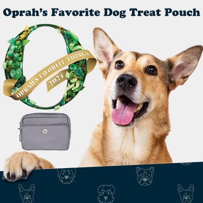Show full view: Puppington 3-in-1 Crossbody Dog Walking Bag & Treat Pouch with Slow Feeding Travel Bowl & Matching Poop Bags, Charcoal Gray slide 3 of 9