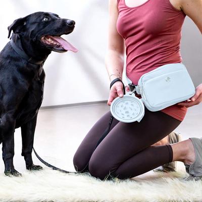 Show full view: Puppington Slow-Feeder Non-Skid Travel Dog Bowl, Ice Blue, 2.25-cup slide 5 of 6