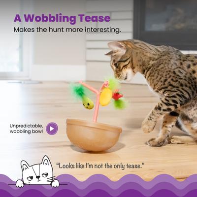 Show full view: Catstages Hunt N' Wobble Fruit Bowl Wobbling with Toy Tree Cat Toy Variety Pack with Catnip, Color Varies, 5 count slide 4 of 11