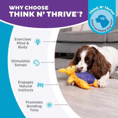 Show full view: Outward Hound Puzzle Palz Interactive Plush Squeaky Dog Toy slide 7 of 11