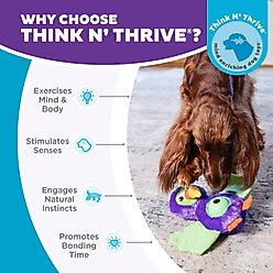 Outward Hound Hide-Ablez Interactive Plush Puzzle Dog Toy slide 2 of 8