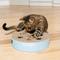 Show in main carousel: Catstages Scratch N' Hunt Cat Games & Puzzles Cat Toy slide 7 of 9