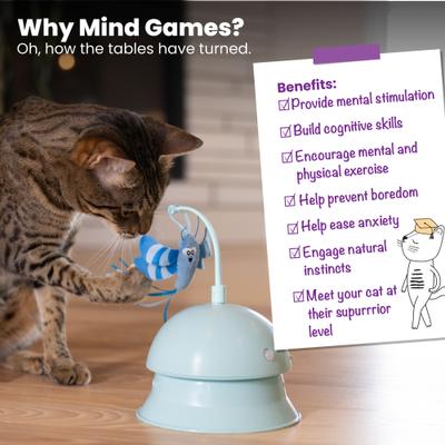 Show full view: Catstages Electronic Flutter Dome Interactive Cat Toy slide 7 of 10