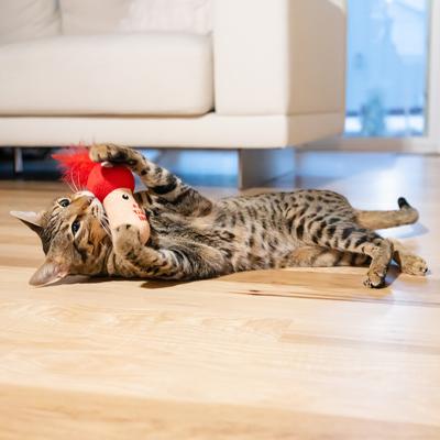 Show full view: Catstages A Really Fungi Mushroom Themed Funny Stuffed Kicker Plush & Dental Cat Toy with Catnip slide 7 of 9