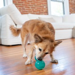 Outward Hound Double-Tuff Treat Dispensing Ball Dog Toy, Blue, Medium slide 2 of 8
