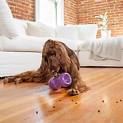 Outward Hound Double Snoop Interactive Treat Stuffer Durable Dog Toy slide 2 of 8