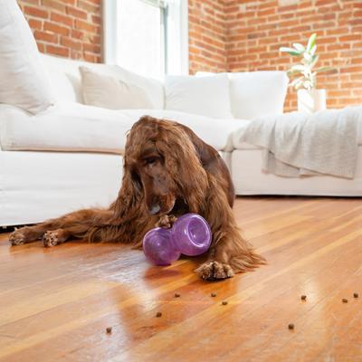 Show full view: Outward Hound Double Snoop Interactive Treat Stuffer Durable Dog Toy slide 9 of 11