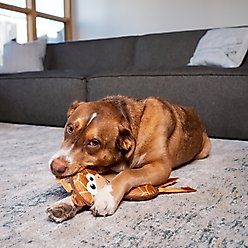 Outward Hound Fire Biterz Giraffe Firehose Plush Dog Toy slide 2 of 6