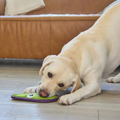 Show full view: Outward Hound Tough Skinz Durable Squeaky Stuffing-Free with Two Layers Dog Toy, Avocado, Medium slide 7 of 10