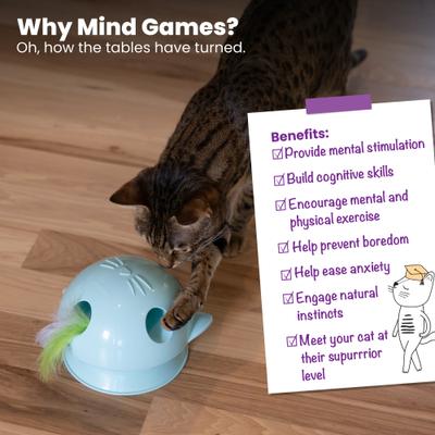 Show full view: Catstages Electronic Dart N' Dash Interactive & Topper for Ball Track, Motion Activated, Hide & Peek Feather Cat Toy, Blue slide 6 of 10