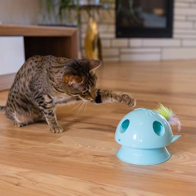 Show full view: Catstages Electronic Dart N' Dash Interactive & Topper for Ball Track, Motion Activated, Hide & Peek Feather Cat Toy, Blue slide 7 of 10