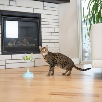 Show full view: Catstages 2-in-1 Flutter Interactive & Topper for Ball Track, Bat & Swat Bouncy Spring with Feathers & Butterflies Cat Toy, Blue slide 7 of 10