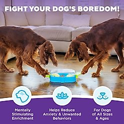 Outward Hound Paw N' Play Interactive Treat Puzzle Dog Toy slide 2 of 8