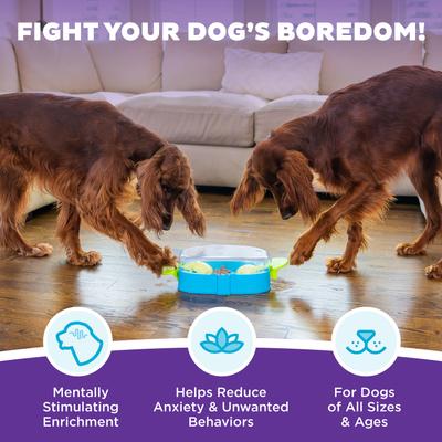 Show full view: Outward Hound Paw N' Play Interactive Treat Puzzle Dog Toy slide 2 of 10