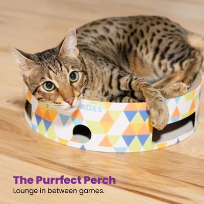 Show full view: Catstages Bowl Track Ball Track Scratch-Boxes & Lougner Cat Toy slide 6 of 9