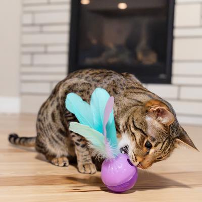 Show full view: Catstages Wobble N' Treat Stuffer Feather Cat Toy with Catnip slide 7 of 10