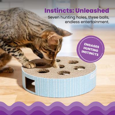 Show full view: Catstages Scratch N' Hunt Cat Games & Puzzles Cat Toy slide 3 of 9