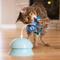 Show in main carousel: Catstages Electronic Flutter Dome Interactive Cat Toy slide 8 of 10