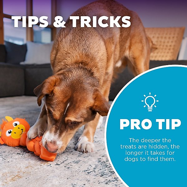 Show full view: Nina Ottosson by Outward Hound Twistiez Interactive Dragon Plush Dog Toy, Orange slide 5 of 10