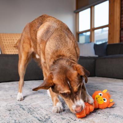 Show full view: Nina Ottosson by Outward Hound Twistiez Interactive Dragon Plush Dog Toy, Orange slide 7 of 10