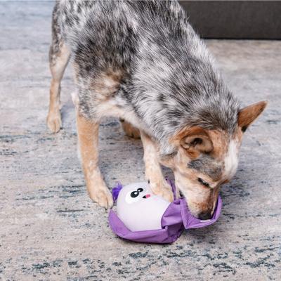 Show full view: Outward Hound Hide N' Find Interactive Plush Puzzle Dog Toy slide 5 of 9