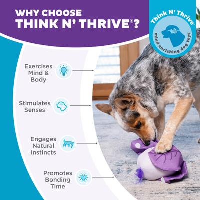 Show full view: Outward Hound Hide N' Find Interactive Plush Puzzle Dog Toy slide 6 of 9