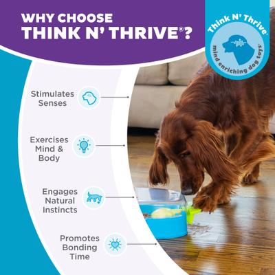 Show full view: Outward Hound Paw N' Play Interactive Treat Puzzle Dog Toy slide 6 of 10