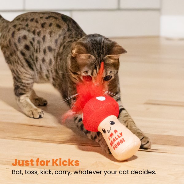 Show full view: Catstages A Really Fungi Mushroom Themed Funny Stuffed Kicker Plush & Dental Cat Toy with Catnip slide 6 of 9