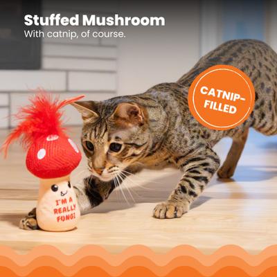 Show full view: Catstages A Really Fungi Mushroom Themed Funny Stuffed Kicker Plush & Dental Cat Toy with Catnip slide 3 of 9