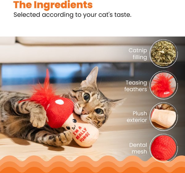 Show full view: Catstages A Really Fungi Mushroom Themed Funny Stuffed Kicker Plush & Dental Cat Toy with Catnip slide 4 of 9