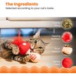 Show in main carousel: Catstages A Really Fungi Mushroom Themed Funny Stuffed Kicker Plush & Dental Cat Toy with Catnip slide 4 of 9
