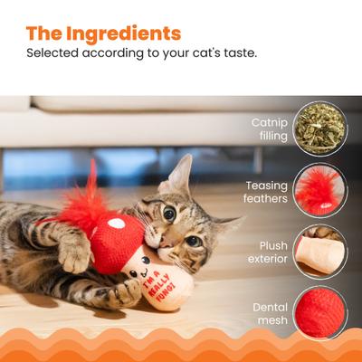 Show full view: Catstages A Really Fungi Mushroom Themed Funny Stuffed Kicker Plush & Dental Cat Toy with Catnip slide 4 of 9