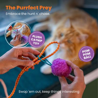 Show full view: Catstages Cat-apult Durable & Interactive Teasers-Wands Cat Toy with Catnip slide 6 of 9