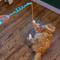 Show in main carousel: Catstages Cat-apult Durable & Interactive Teasers-Wands Cat Toy with Catnip slide 7 of 9