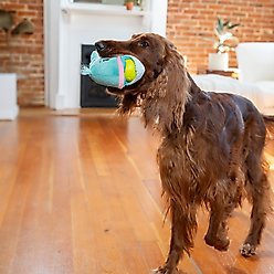 Nina Ottosson by Outward Hound Big Mouthz Interactive Plush Dog Puzzle with Treat Ball, Whale, Blue slide 2 of 8