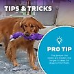 Show in main carousel: Nina Ottosson by Outward Hound Twistiez Interactive Unicorn Plush Puzzle Dog Toy, Purple slide 5 of 10