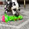 Show in main carousel: Nina Ottosson by Outward Hound Twistiez Interactive Troll Plush Puzzle Dog Toy, Green slide 7 of 10