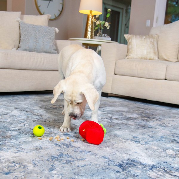 Show full view: Nina Ottosson by Outward Hound Fruity Findz Interactive Plush Puzzle Dog Toy slide 8 of 9