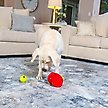 Show in main carousel: Nina Ottosson by Outward Hound Fruity Findz Interactive Plush Puzzle Dog Toy slide 8 of 9
