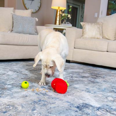 Show full view: Nina Ottosson by Outward Hound Fruity Findz Interactive Plush Puzzle Dog Toy slide 8 of 9