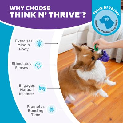 Show full view: Outward Hound Dental Grapes 2-in-1 Interactive Dog Chew & Treat Dispensing Toy, Medium, Purple slide 7 of 11