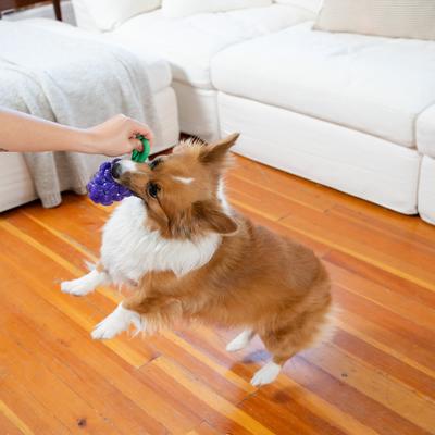 Show full view: Outward Hound Dental Grapes 2-in-1 Interactive Dog Chew & Treat Dispensing Toy, Medium, Purple slide 9 of 11