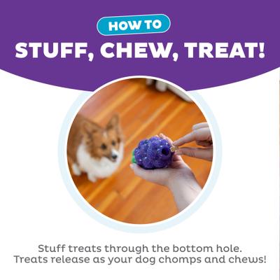 Show full view: Outward Hound Dental Grapes 2-in-1 Interactive Dog Chew & Treat Dispensing Toy, Medium, Purple slide 5 of 11