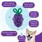 Show in main carousel: Outward Hound Dental Grapes 2-in-1 Interactive Dog Chew & Treat Dispensing Toy, Medium, Purple slide 4 of 11