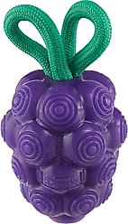 Outward Hound Dental Grapes 2-in-1 Interactive Dog Chew & Treat Dispensing Toy, Medium, Purple
