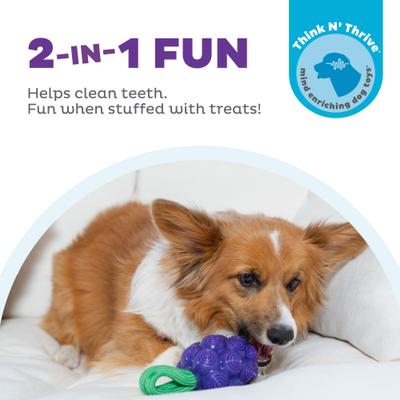 Show full view: Outward Hound Dental Grapes 2-in-1 Interactive Dog Chew & Treat Dispensing Toy, Medium, Purple slide 3 of 11