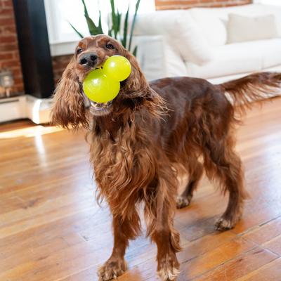 Show full view: Outward Hound Double-Tuff Treat Dispensing Ball Dog Toy, Green, Large slide 8 of 10